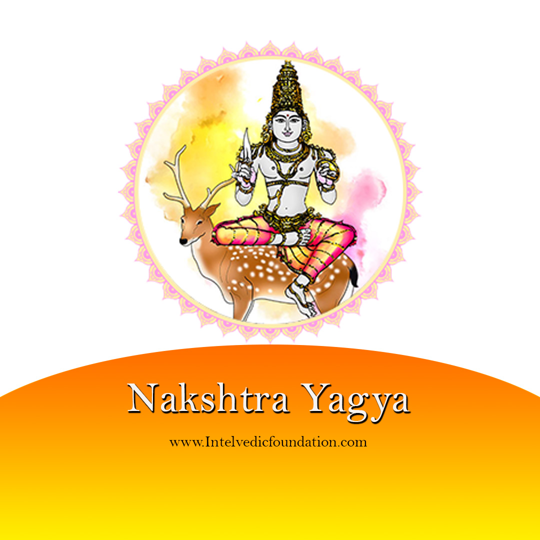 Maharishi Jyotish Sansthan